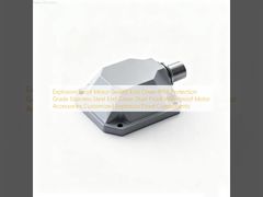防爆モーター 封印式端蓋 IP66 保護級 不同鋼端蓋 防塵 防水 モーターアクセサリー パーソナライズド 防爆部品